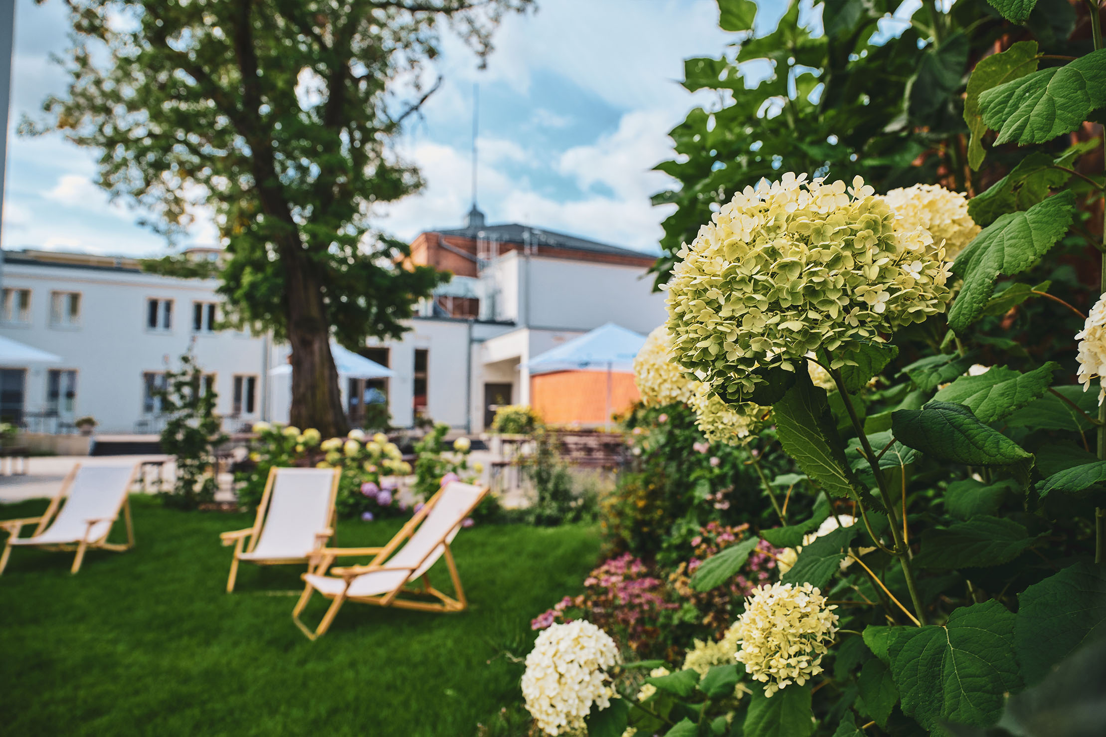 Terrasse